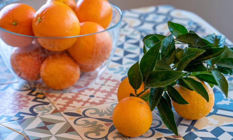 POLINIZACION-CRUZADA-INTERCITRUS