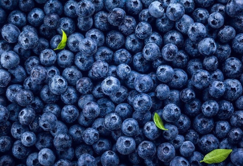 macfrut-arándanos