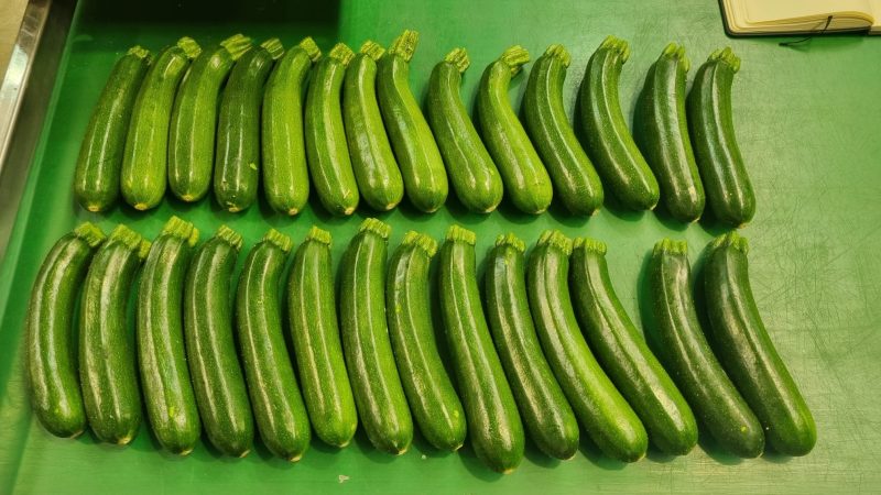 HORTYFRUTA-CALABACÍN
