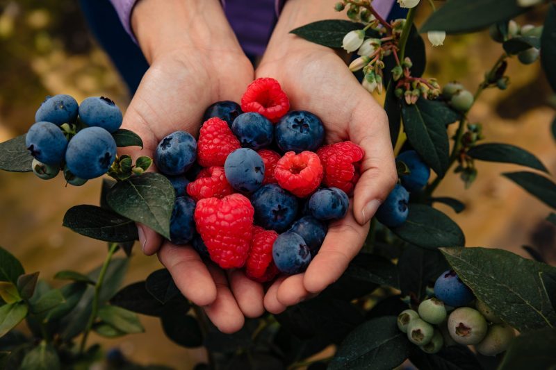 Hortifrut (1)