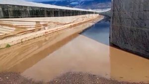 coag-almería-reducciones-fiscales