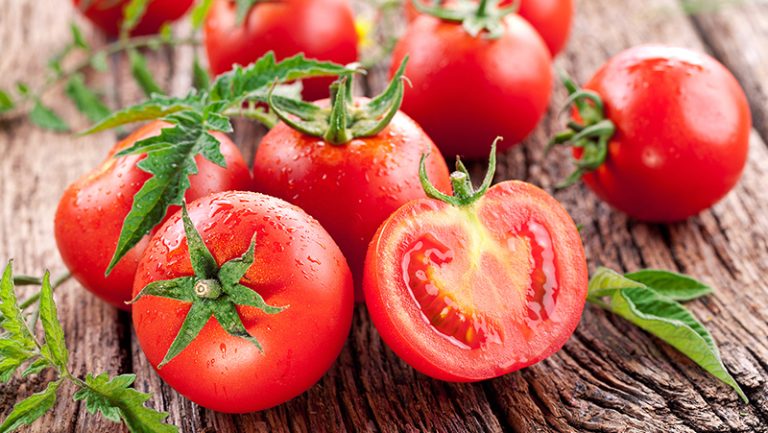 macfrut-table-tomato