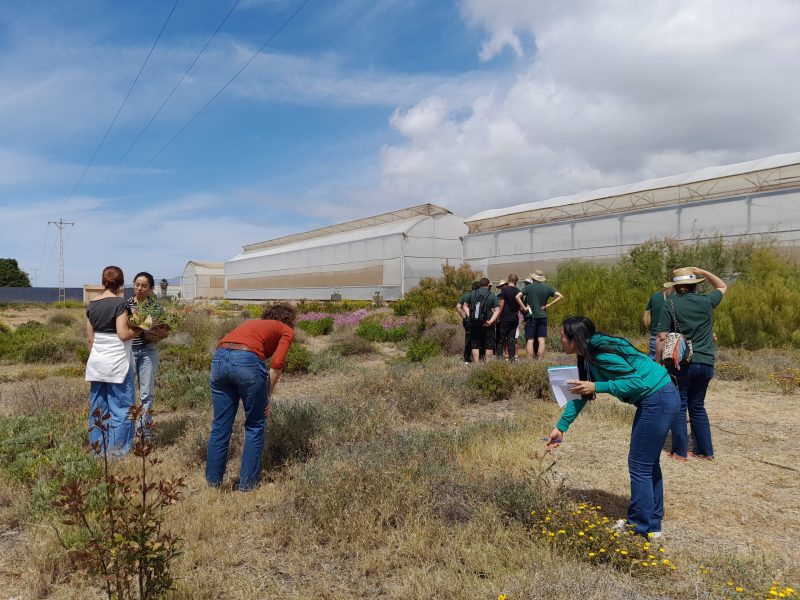 2 Fomento de biodiversidad mediante reciclaje