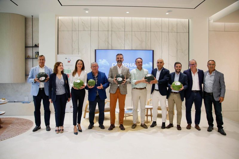 frutas-y-hortalizas-de-invernadero