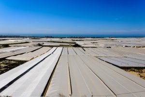 invernaderos-solares