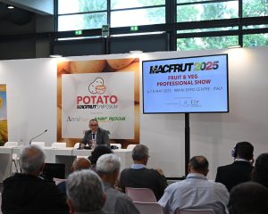 patata-macfrut