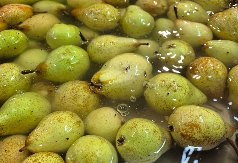 Sistema Citrocide® Fresh-Fruit