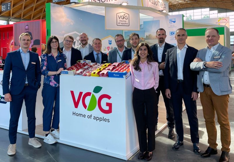 VOG-MACFRUT