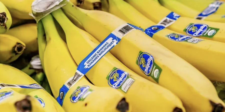 banana-chiquita