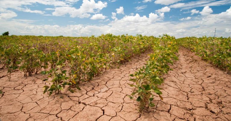 climate-change-agriculture