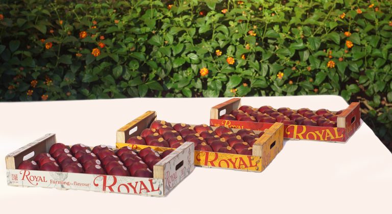 ROYAL-FRUTAS