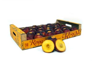 nueva caja amarilla
