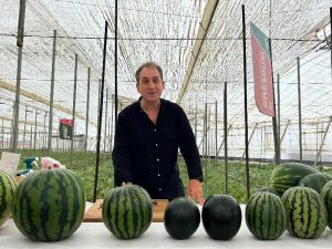 BASF Nunhems BEFE 2025 Almería Crisanto