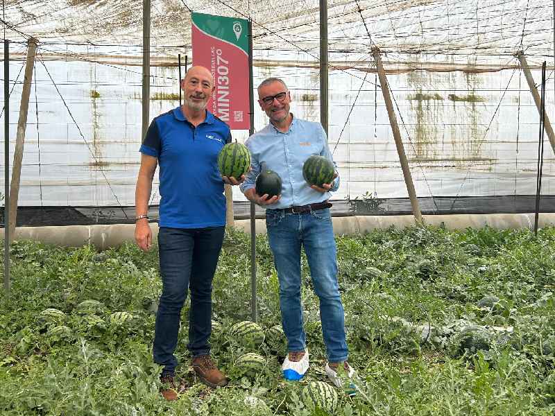 BASF Nunhems BEFE 2025 Almería