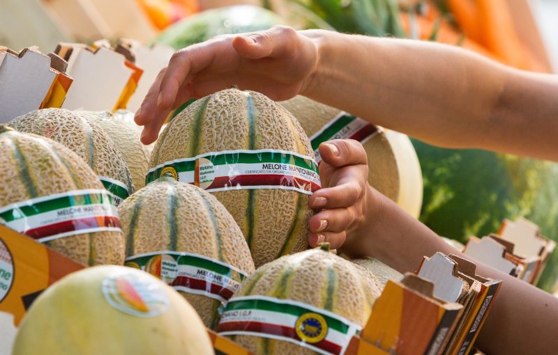 melón-mantovano-igp