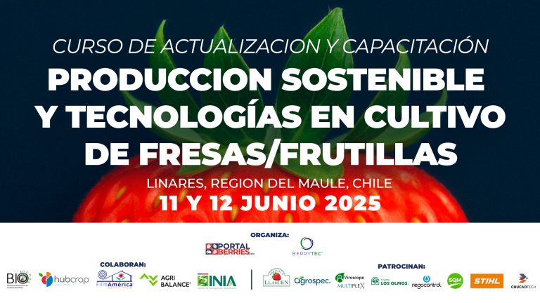 chile-fresa