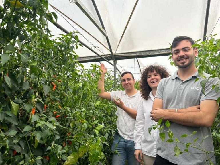 Grupo operativo SMALI