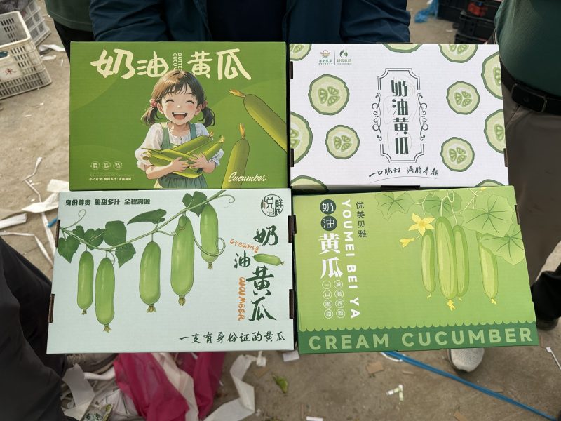 CREAMY-CUCUMBER-YUKSEL