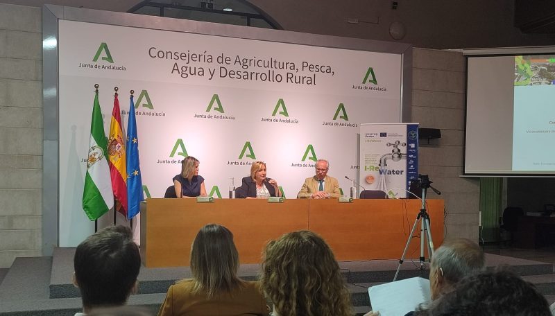 La viceconsejera hablando en la jornada