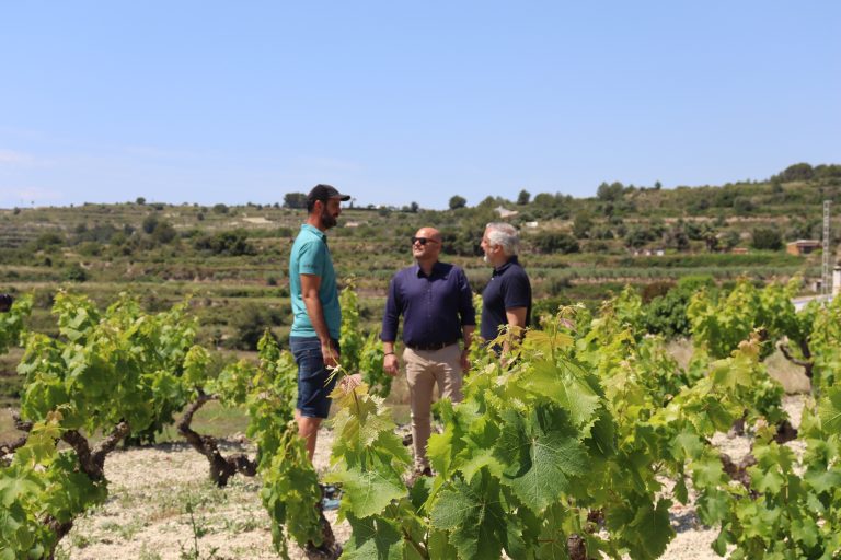 Premio promoción e impulso a la agricultura 2024 AYUNTAMIENTO TEULADA MORAIRA