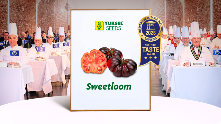 Sweetloom-international-taste-institute