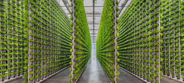 vertical-farming