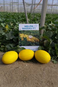 ramiro-arnedo-melón