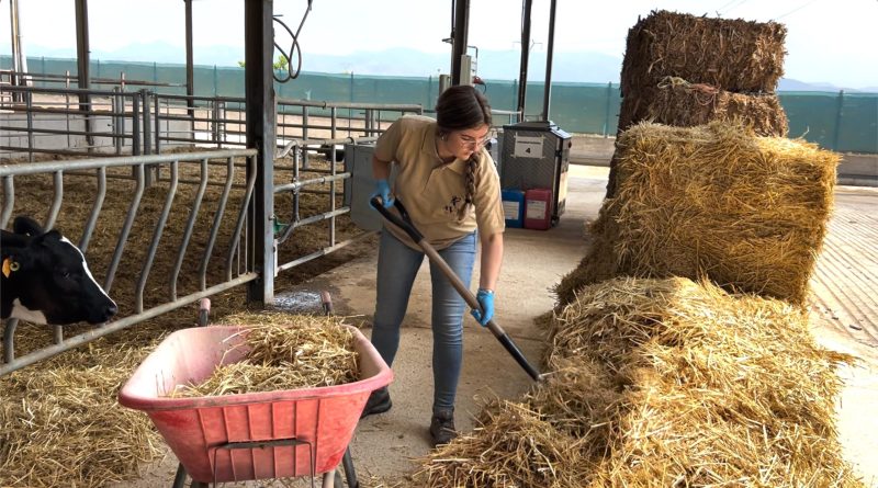 ava_jovenes_agricultores