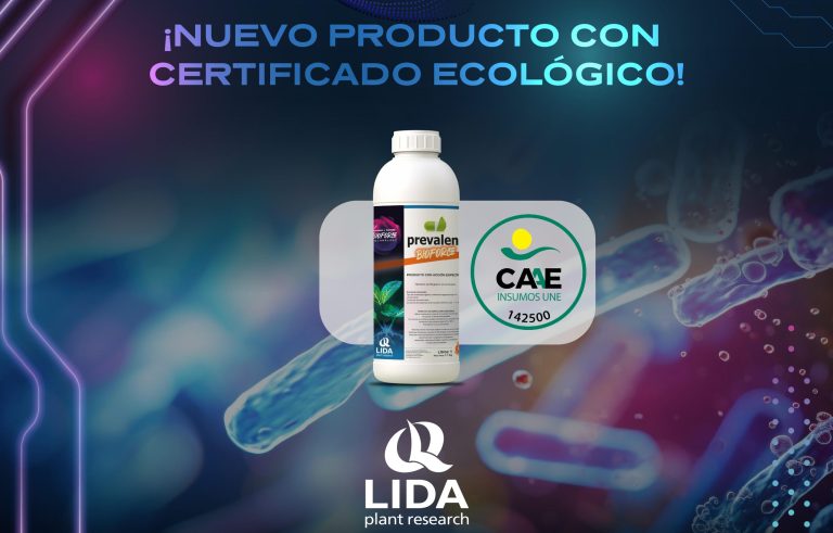 lida-plant