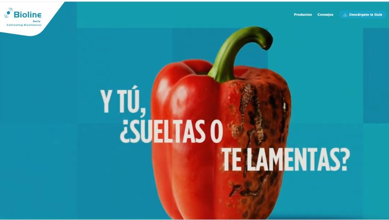 20250716_WEB DEFENSAPARVISPINUS_1