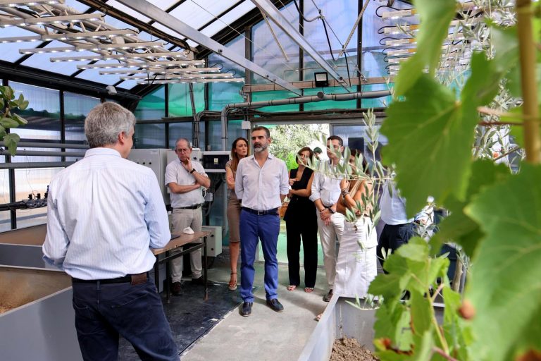 sequía-agricultura