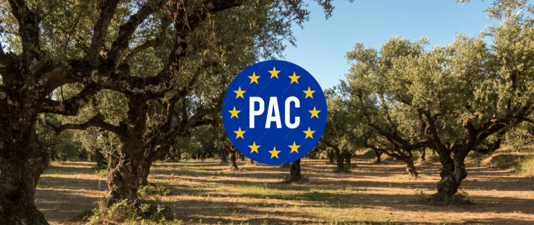movilizaciones-pac
