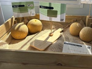 ENZA ZADEN Melon Watermelon House Fair 2025 Galias