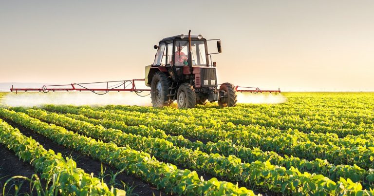 ESPAÑA-FITOSANITARIOS