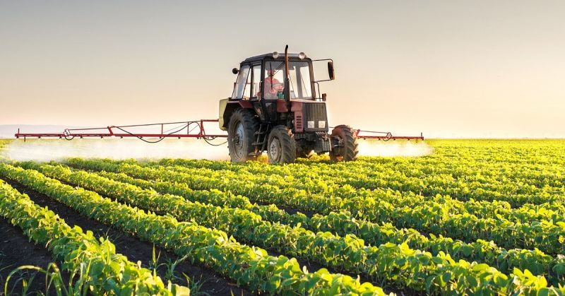 ESPAÑA-FITOSANITARIOS