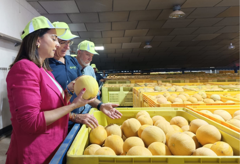 campaña-melón-murcia