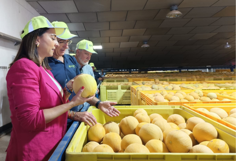campaña-melón-murcia