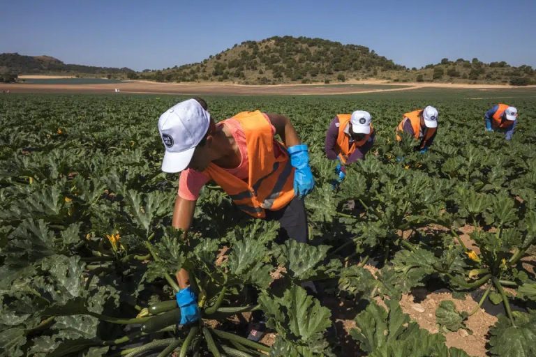 PARO-SECTOR-AGRÍCOLA