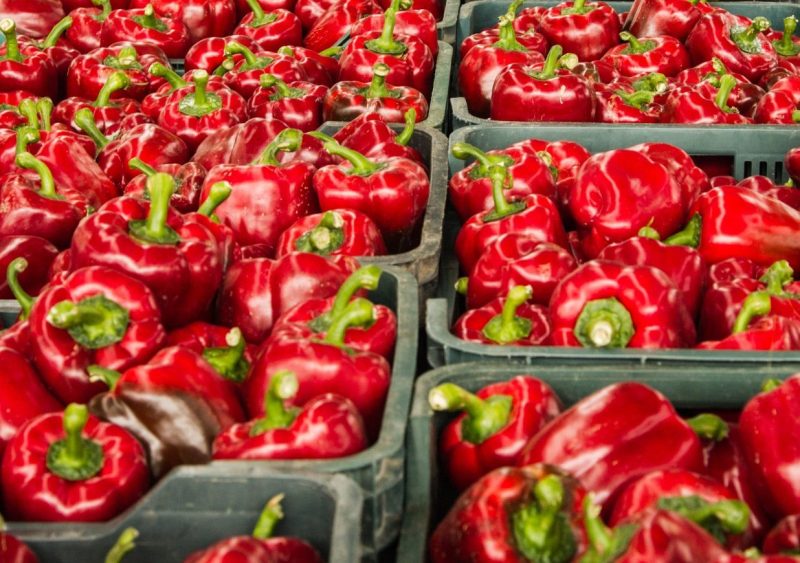 Pimientos rojos