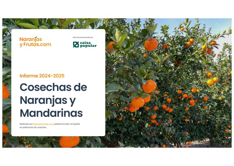 naranjasyfrutas
