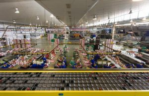 exportación-hortofrutícola