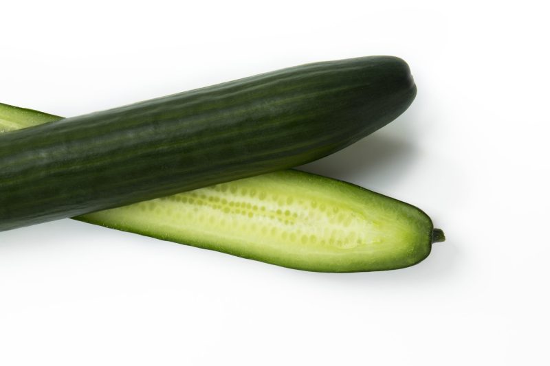 Trueno-RIJK-ZWAAN