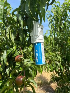 confusxion-sexual-aerosol