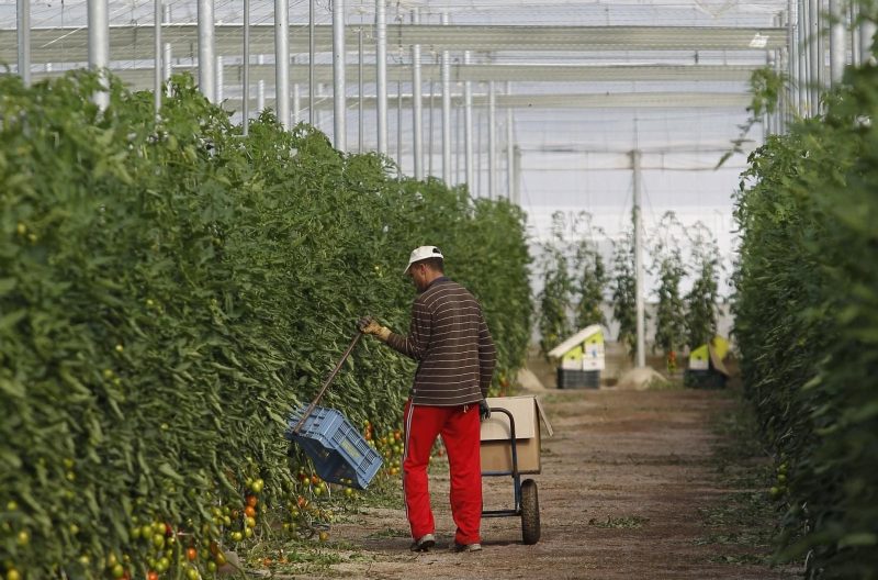 importaciones-marruecos