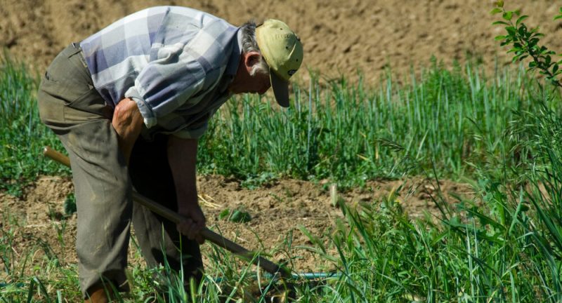 JUBILACIÓN-ANTICIPADA