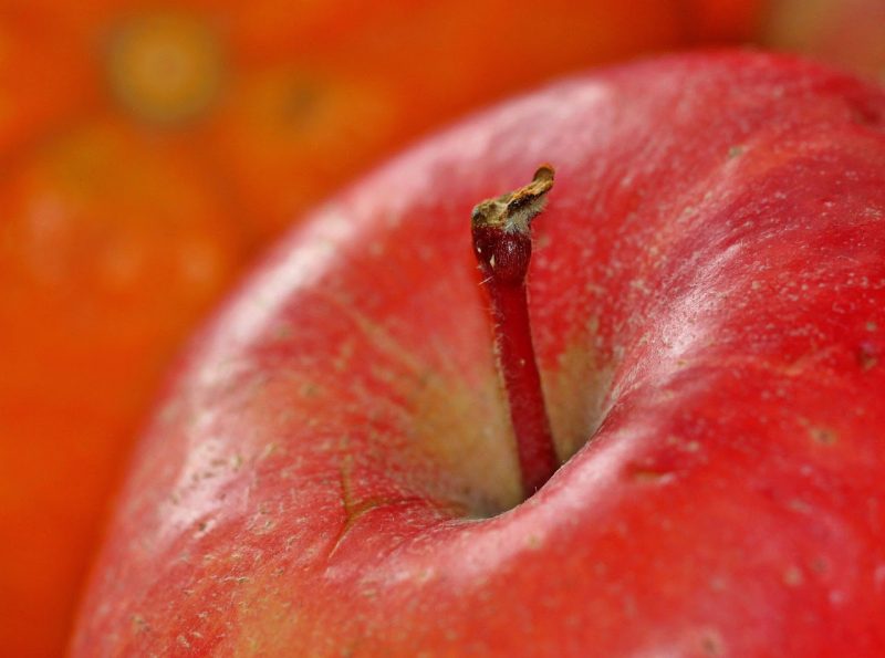 DUTCH-APPLES