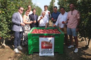 POMA-DE-GIRONA-MANZANAS