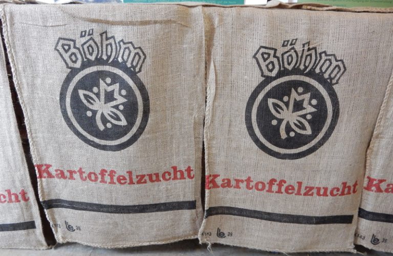 europlant-patata