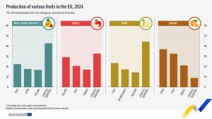 production-various-fruits-2024