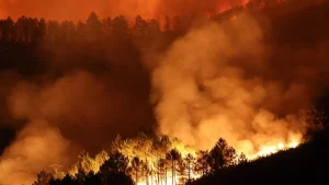 agroseguro-incendios